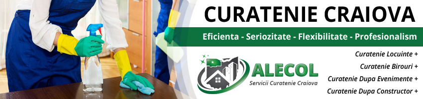 servicii curatenie complete Bailesti